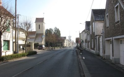 1er mars >> la campagne d&rsquo;élagage des arbres démarre