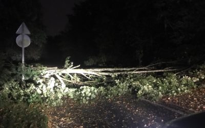[ALERTE TERMINEE] Un arbre bloque l&rsquo;entrée de Pontcarré