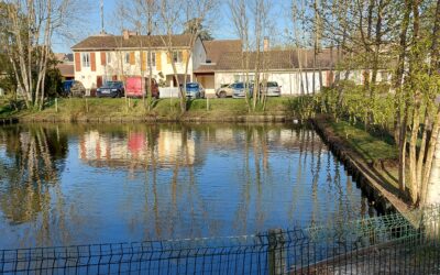 Curage du bassin Iris – abattage d&rsquo;arbres