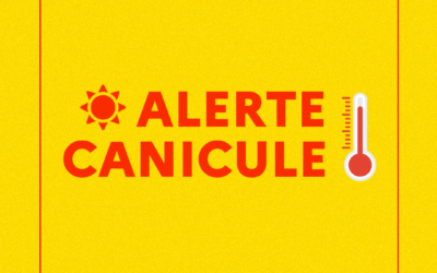 Vigilance jaune « alerte canicule »