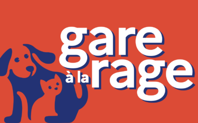 La rage : une menace toujours présente à l&rsquo;étranger – soyons vigilants !