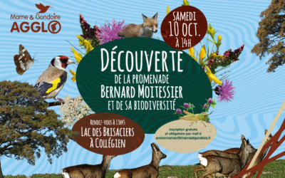 VISITE GUIDÉE DE LA PROMENADE BERNARD MOITESSIER